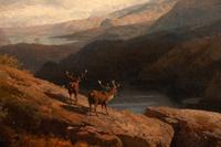 Norwegian Highlands