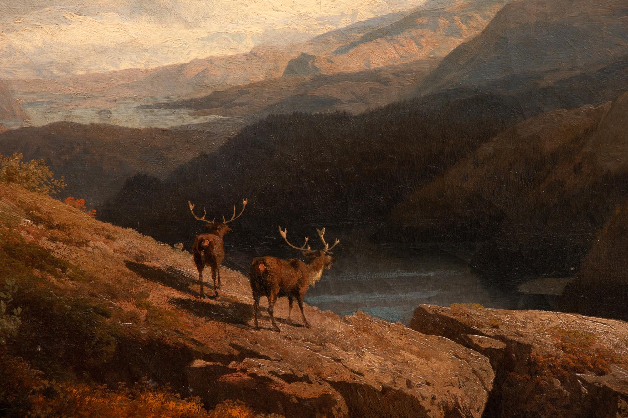 Norwegian Highlands