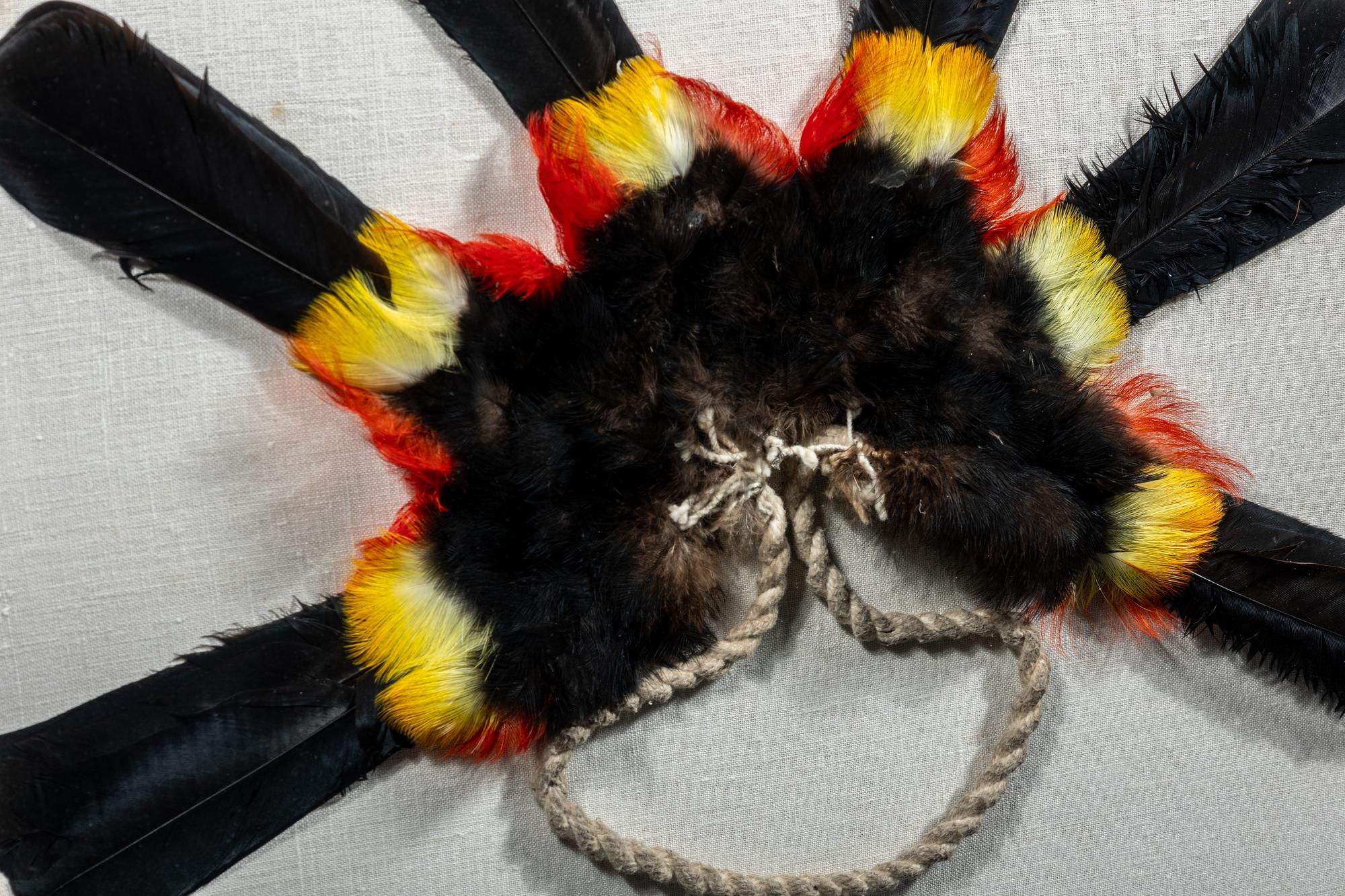 A Yanomami Feather Armband