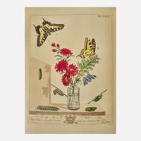 [Natural History] Harris, Moses, and John O. Westwood The Aurelian A Natural History of English Moths and Butterflies, Together with the Figures of Their Transformations and of the Plants on Which They Feed...