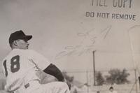 A Group of 1950s Comiskey Park Chicago White Sox Signed Type One Photographs and Ephemera Including Nellie Fox Signed Photograph,
