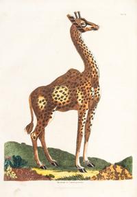 BUFFON, GEORGE LOUIS LECLERC, COMTE DE. A Natural History... London, 1781. 2 (of 8) vols. only.