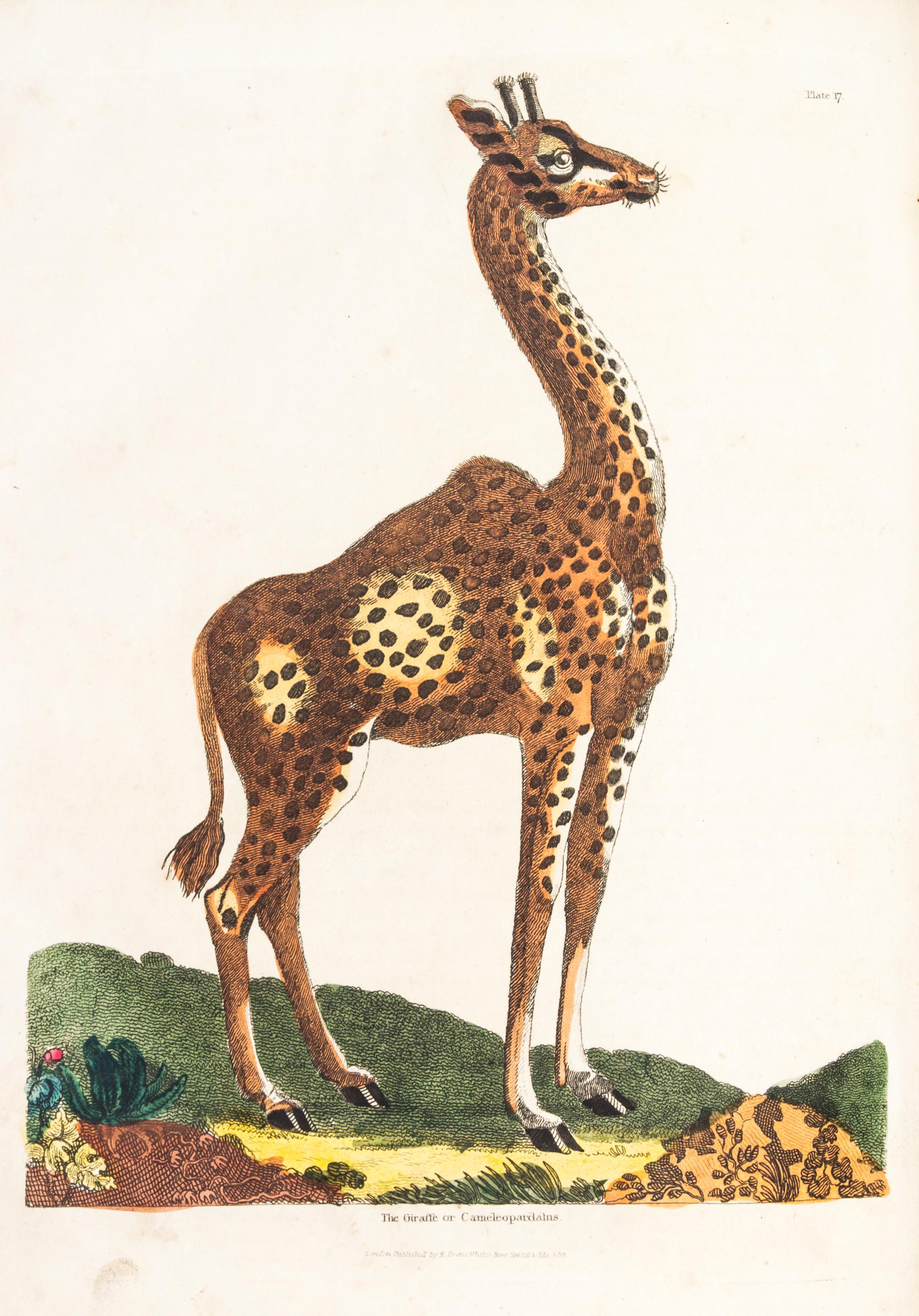 BUFFON, GEORGE LOUIS LECLERC, COMTE DE. A Natural History... London, 1781. 2 (of 8) vols. only.
