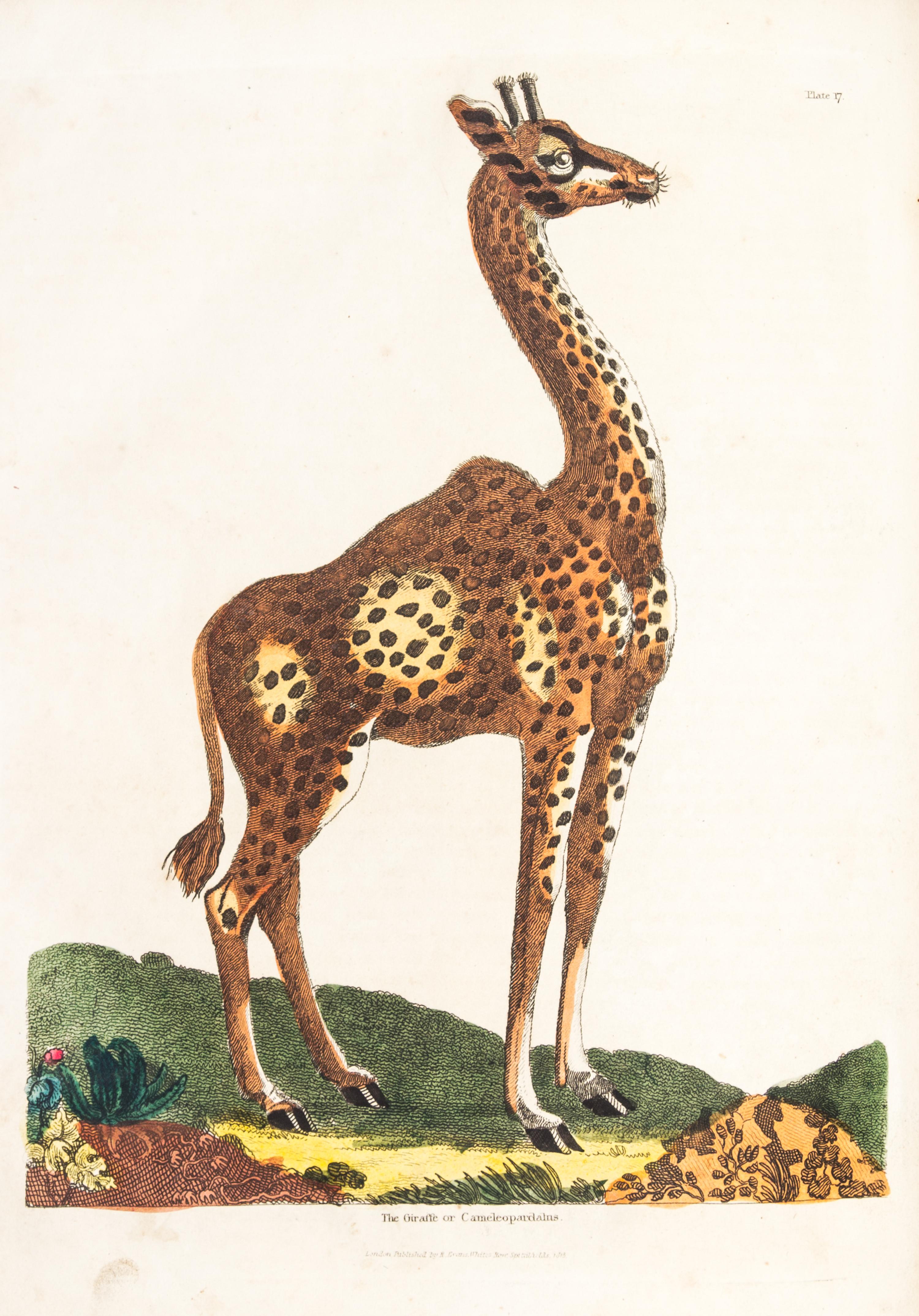 BUFFON, GEORGE LOUIS LECLERC, COMTE DE. A Natural History... London, 1781. 2 (of 8) vols. only.