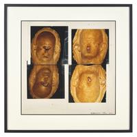 Untitled (New Museum Image), 1992