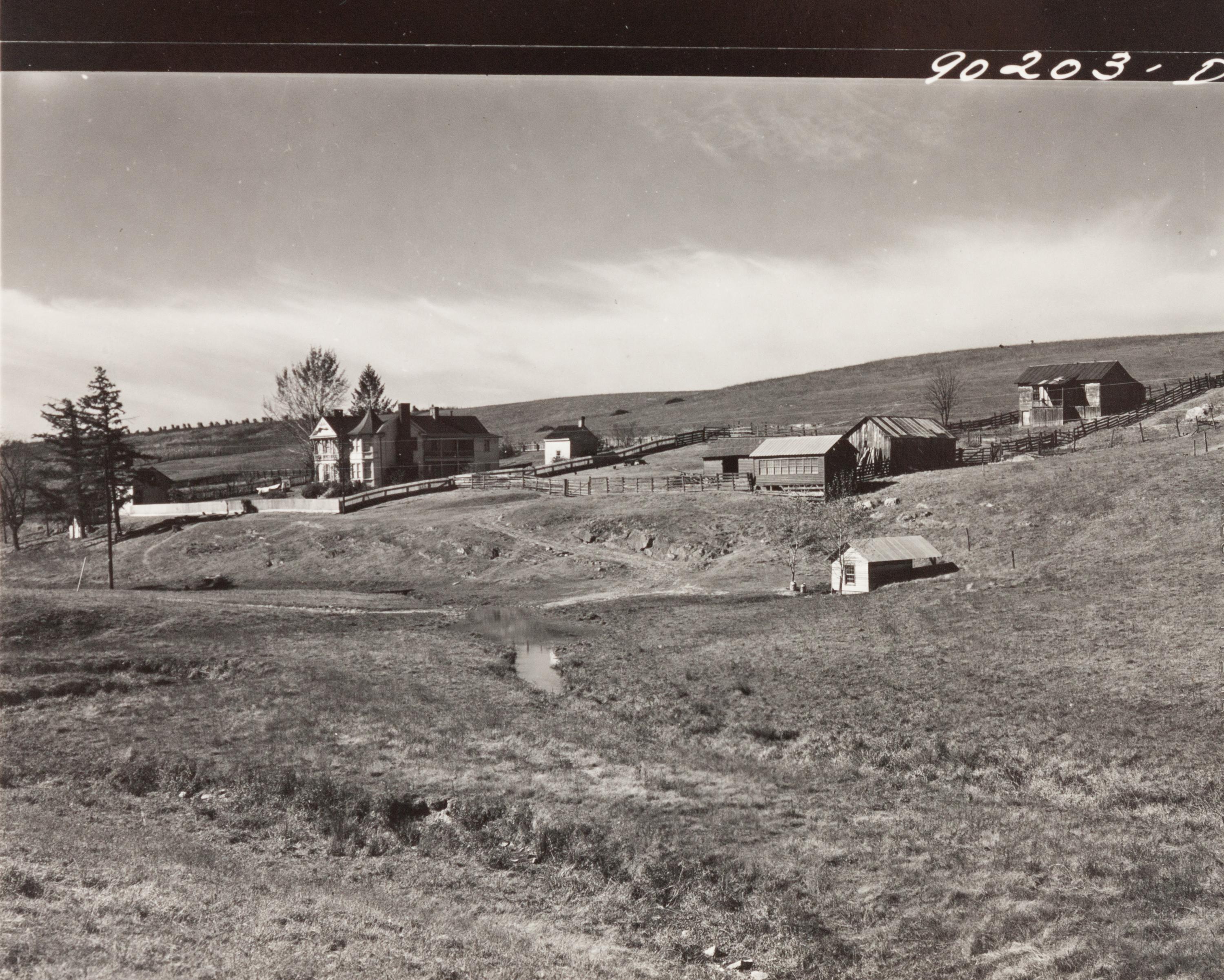 A group of five photographs ( Parishoners Peeling Tomatoes, Bardstown, KY, 1940; Breathitt County, KY, 1940; Radford, VA Farm, 1941; Riner, VA , 1941; Cattle Guard, 1941)