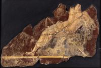 A Roman Fresco Fragment