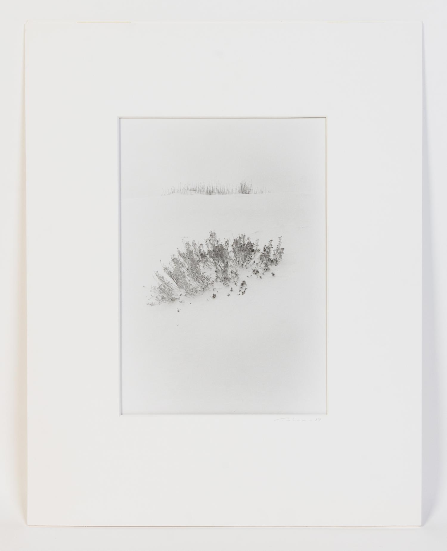 Artist Unknown, (20th century), Untitled