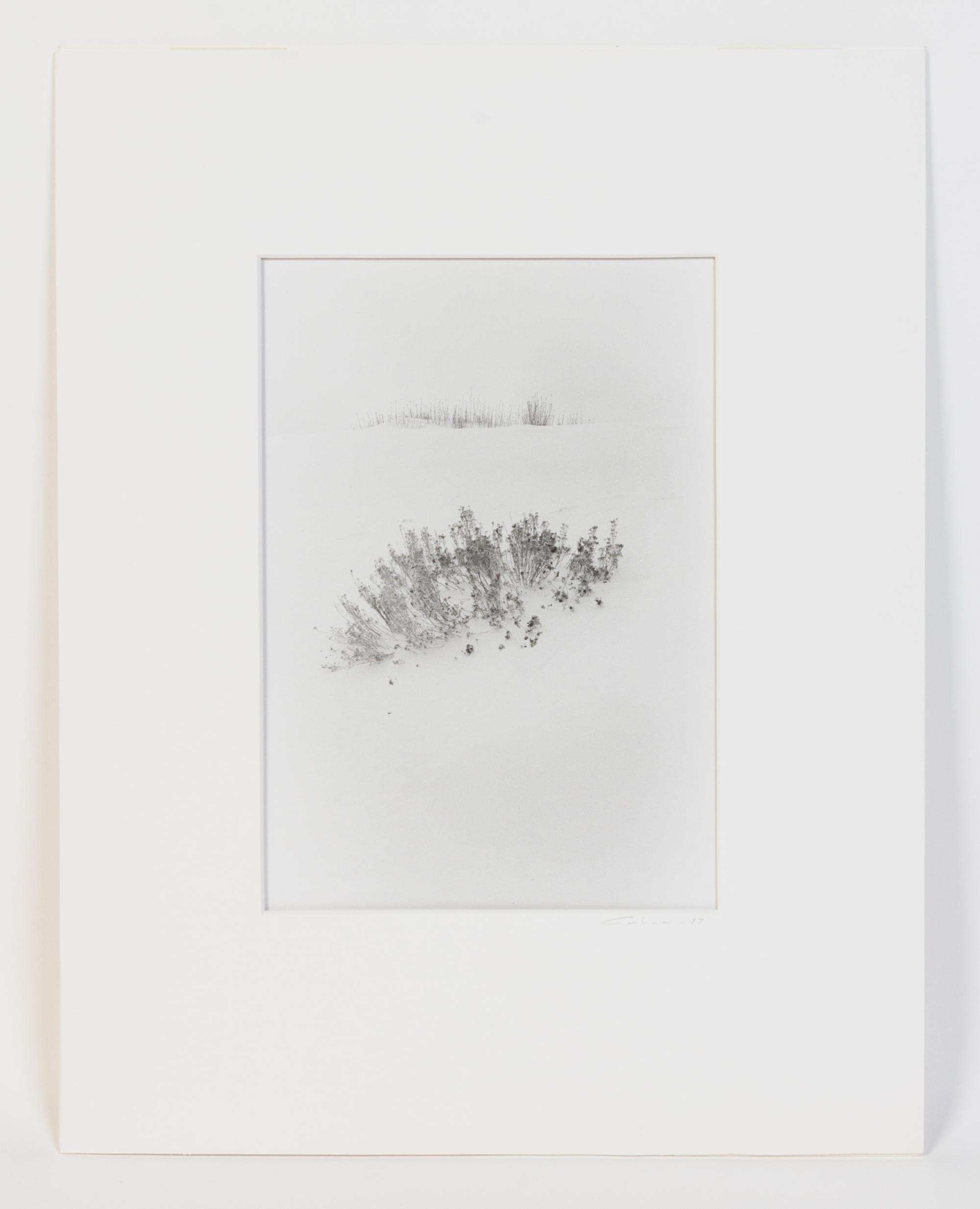 Artist Unknown, (20th century), Untitled
