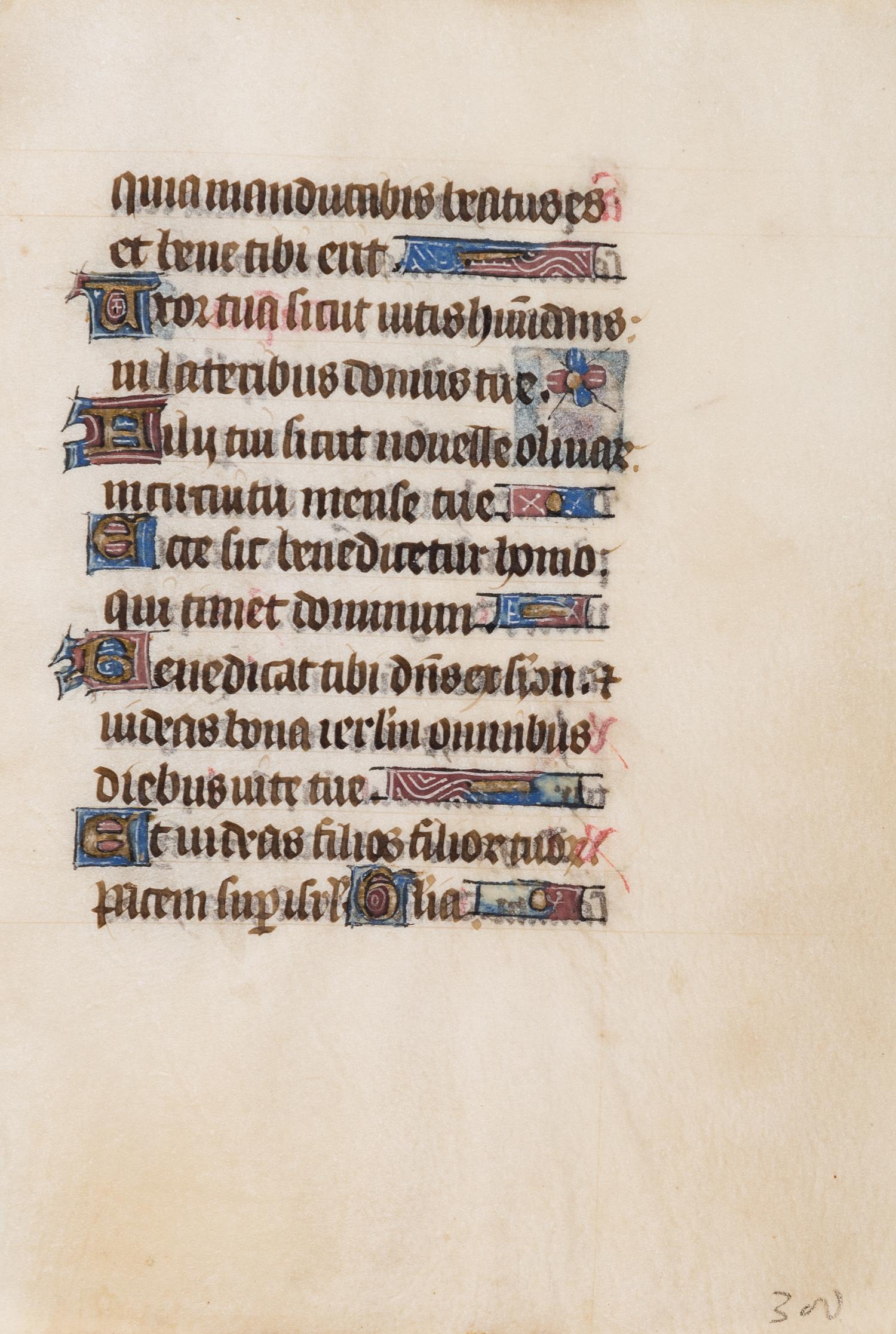 [BOOK OF HOURS]. A group of 25 leaves from medieval and renaissance manuscripts and printed books, including 5 or more from Otto Ege’s Fifty Original Leaves from Medieval Manuscripts. Western Europe: XII-XVI Century [compiled Cleveland, c.1950] and Original Leaves from Famous Bibles: Nine Centuries, 1121-1935 A.D [Compiled Cleveland, c.1950]. Various sizes, including: