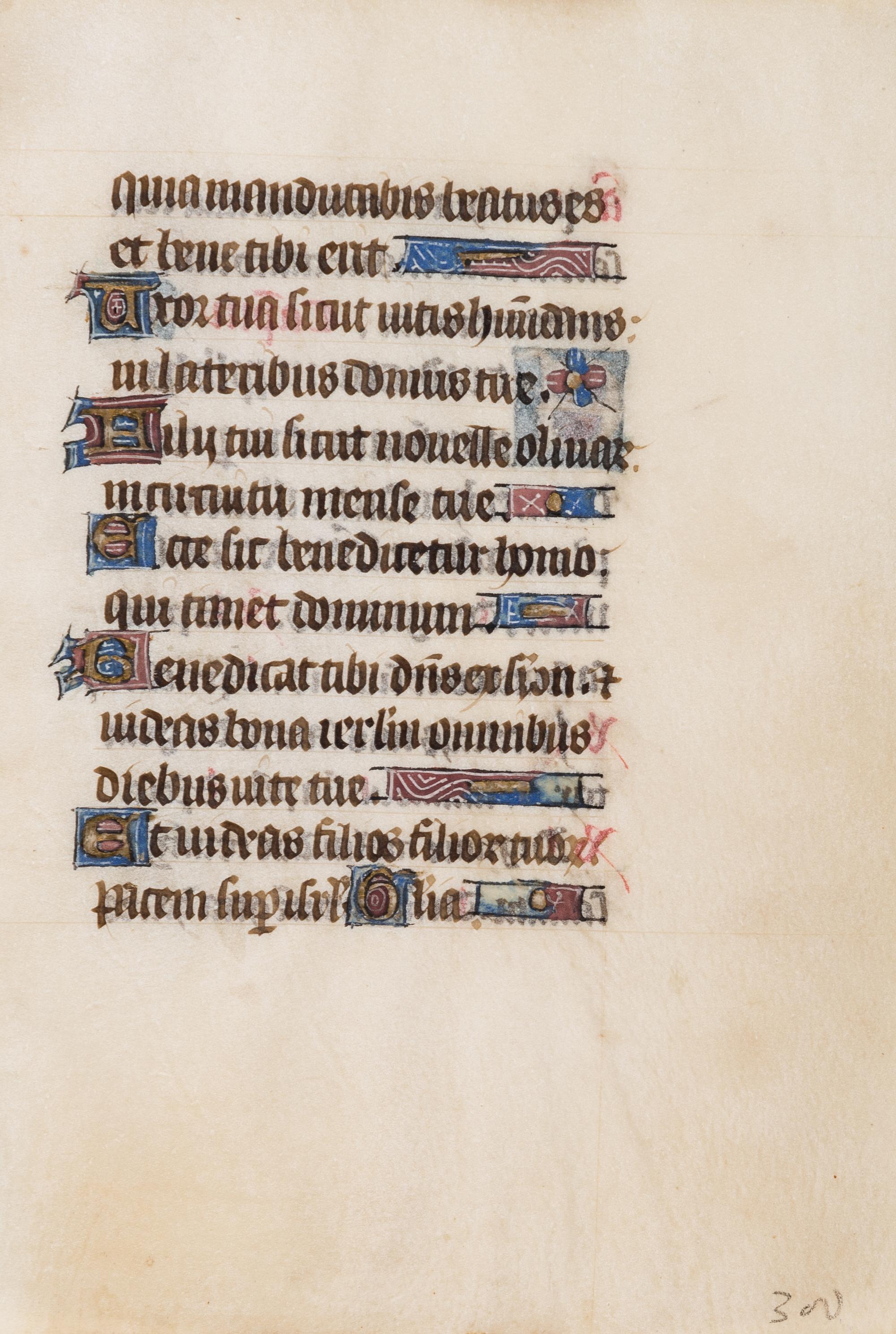 [BOOK OF HOURS]. A group of 25 leaves from medieval and renaissance manuscripts and printed books, including 5 or more from Otto Ege’s Fifty Original Leaves from Medieval Manuscripts. Western Europe: XII-XVI Century [compiled Cleveland, c.1950] and Original Leaves from Famous Bibles: Nine Centuries, 1121-1935 A.D [Compiled Cleveland, c.1950]. Various sizes, including: