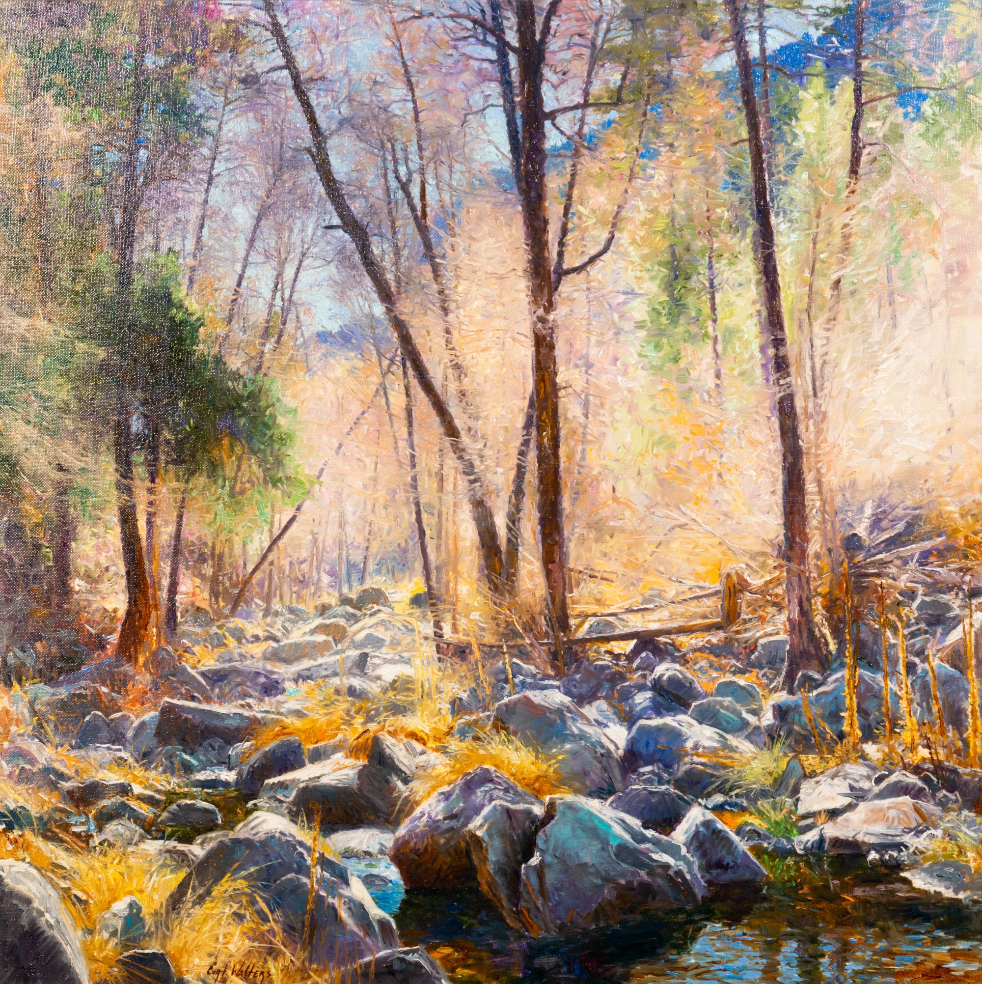 Unadorned, Oak Creek Canyon, Arizona