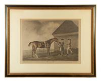 A Set of Four Equestrian Prints