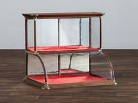A Country Store Brass Mounted Walnut Countertop Display Case