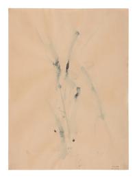 Untitled #19