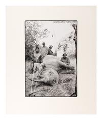 Peter Beard (1938-2020) Lariak Estate cattle-killer that went berserk and harmed 4 cows and a herd-boy, 1965