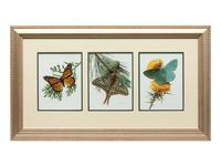Flying in Harmony , Triptych
