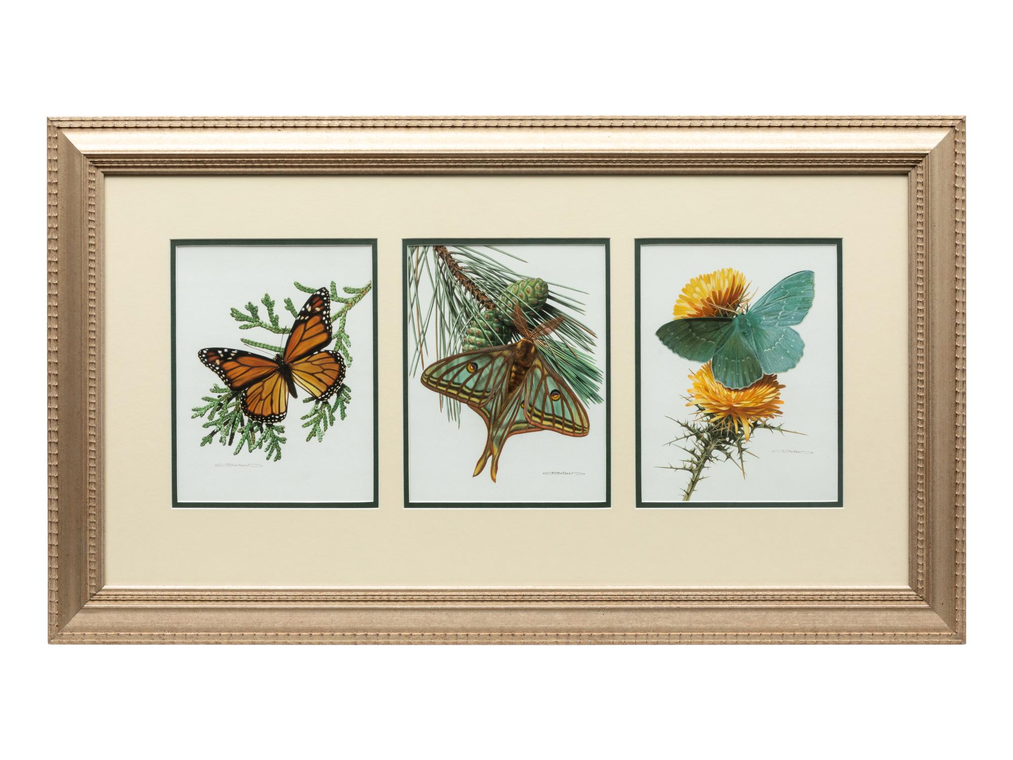 Flying in Harmony , Triptych