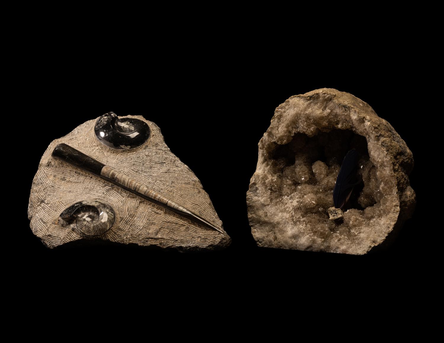 An Orthoceras and Ammonite Fossil Stone and Crystal Quartz Geode