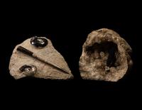 An Orthoceras and Ammonite Fossil Stone and Crystal Quartz Geode