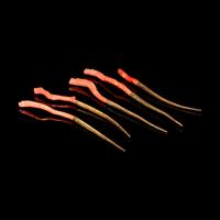 Five Red Coral Mounted 24K Gilt Hairpins, Zan, 20th Century
