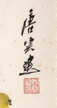 Tang Yun