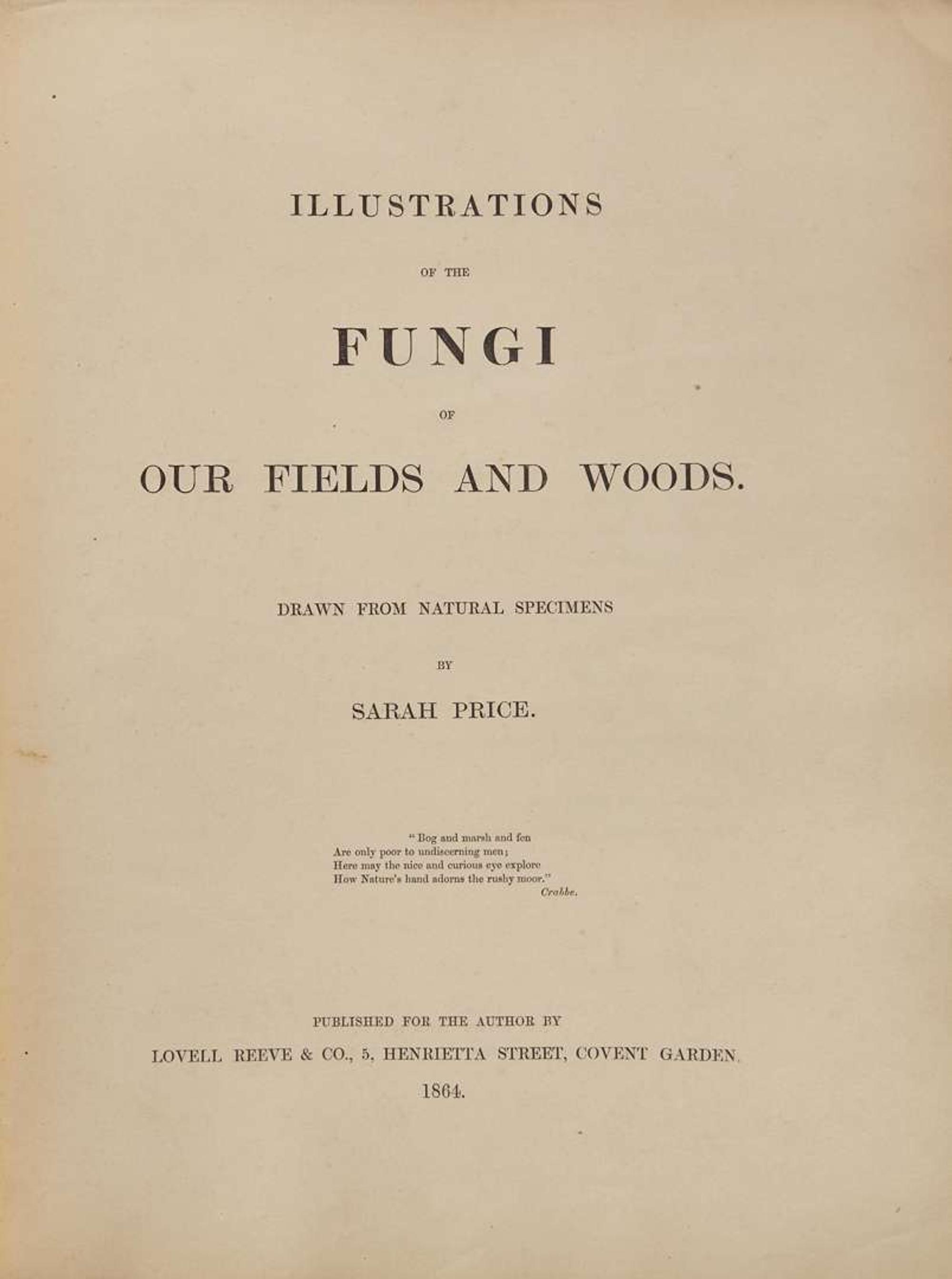 [Natural History] Group of 2 Titles on Fungi
