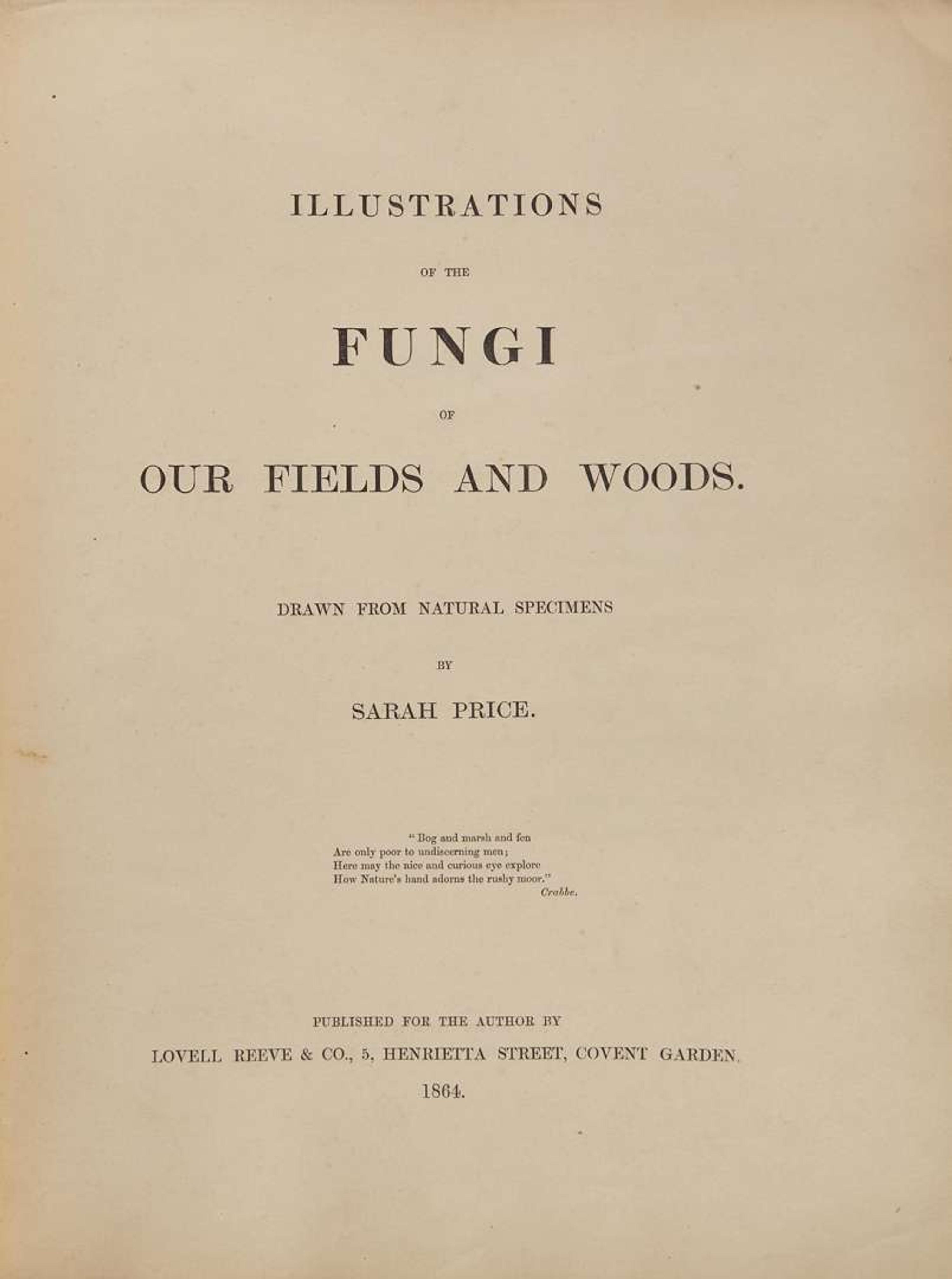 [Natural History] Group of 2 Titles on Fungi