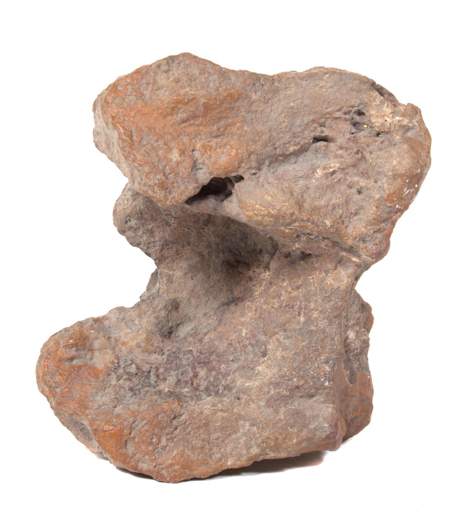 A Fossilized Bone Fragment Width 9 1/2 inches.