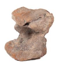 A Fossilized Bone Fragment Width 9 1/2 inches.