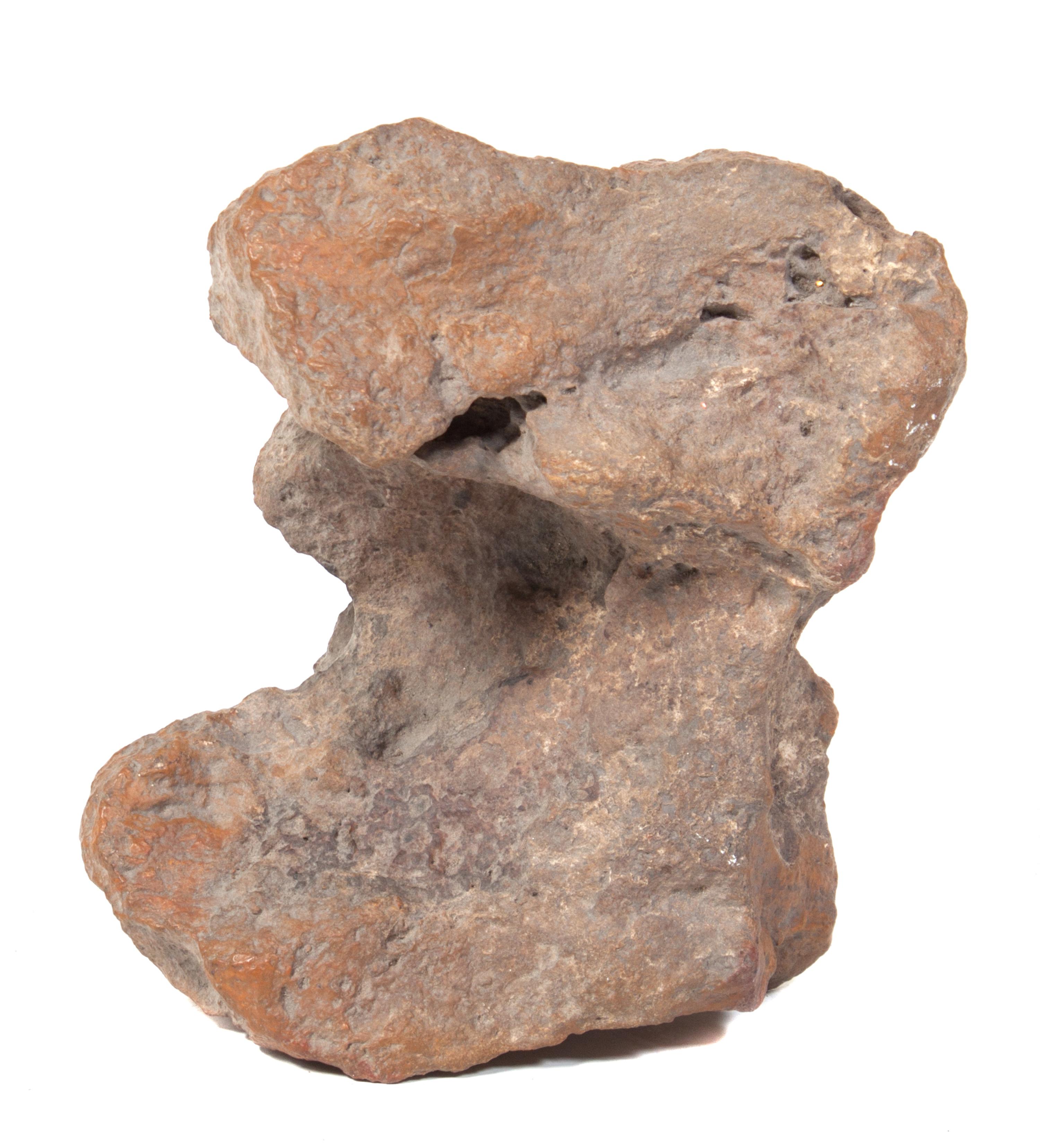 A Fossilized Bone Fragment Width 9 1/2 inches.