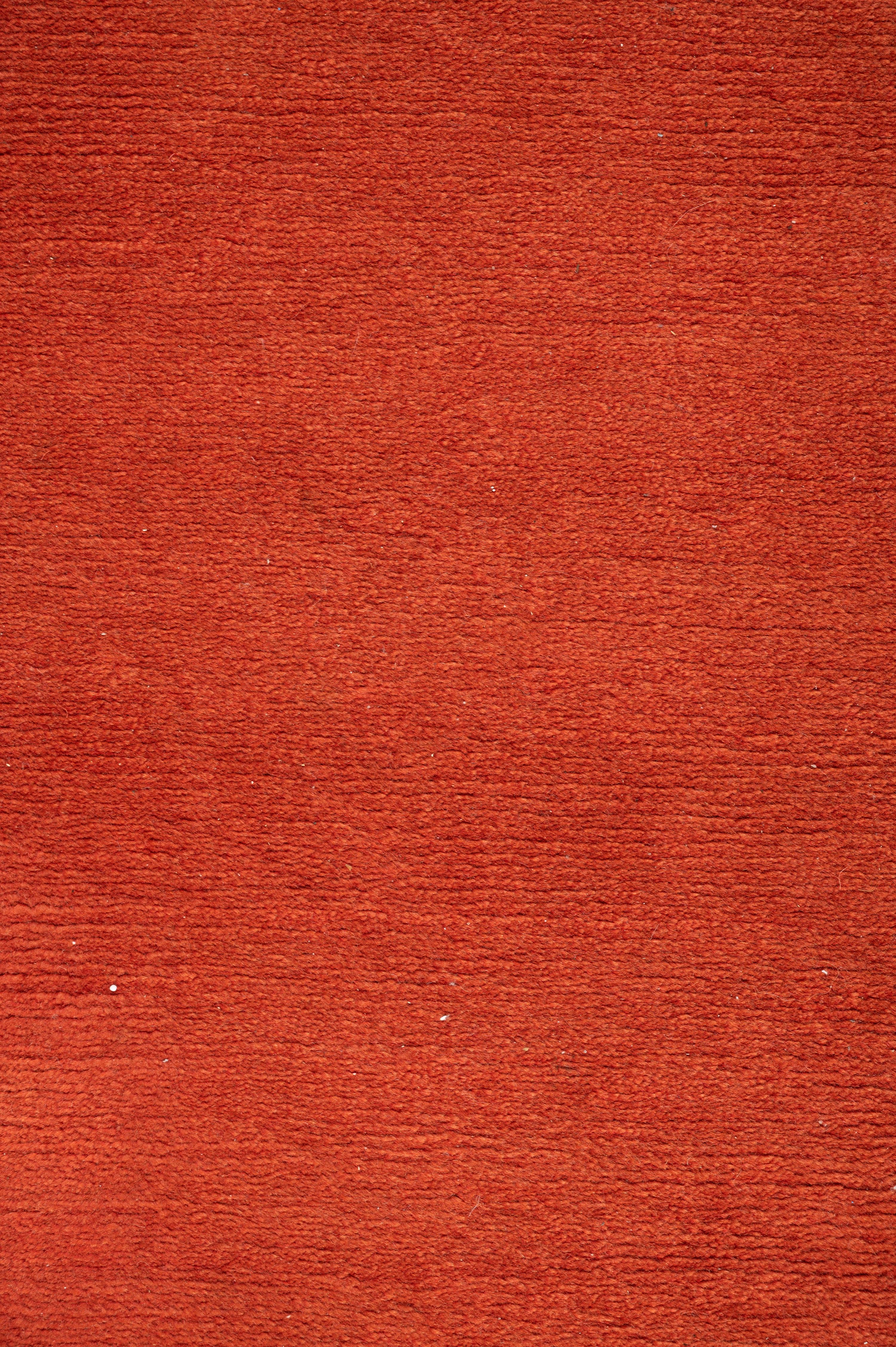 An Indian Wool Runner