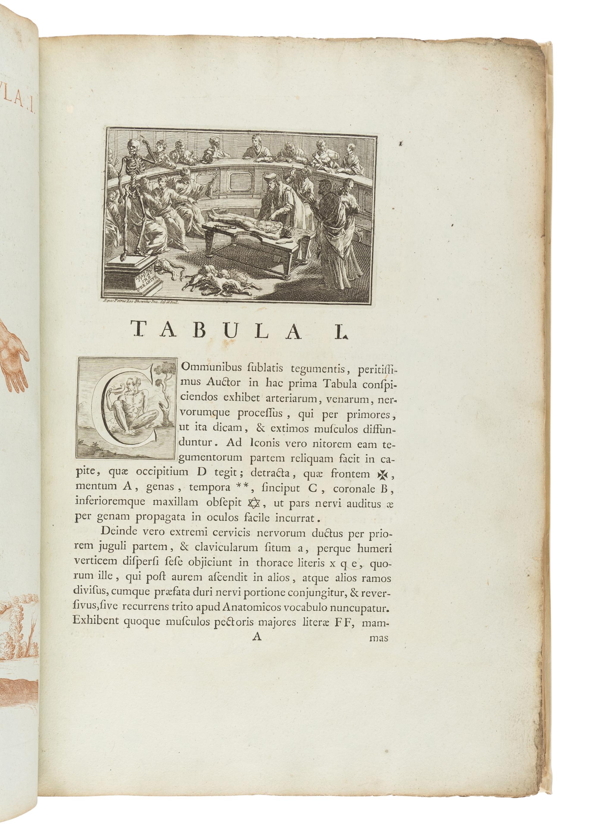 BERRETTINI, Pietro, called 'Pietro da Cortona' (1596-1669). Tabulae anatomicae ... Rome: Venanti Monaldini, 1788.
