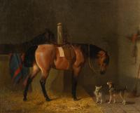 Stable Companions , 1861