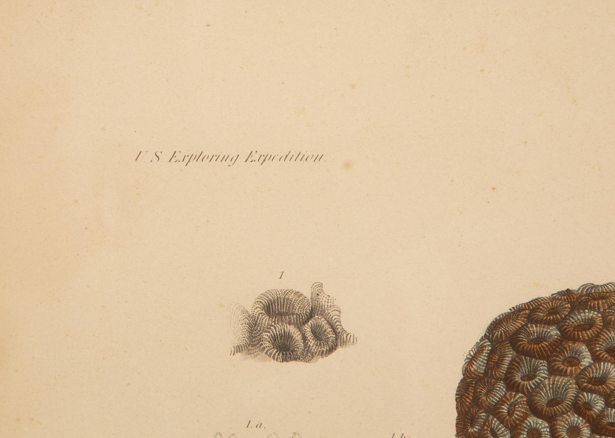 A Set of Four Framed Hand Colored Engravings