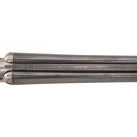 **W.W. Greener F16-Grade 12 Gauge Shotgun
