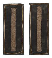 Medical cadet insignia.