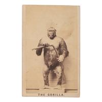 [EARLY PHOTOGRAPHY]. Curious CDV of "The Gorilla" holding bent rifle. [Amherst, Massachusetts]: [J.L. Lovell], [ca 1860s].