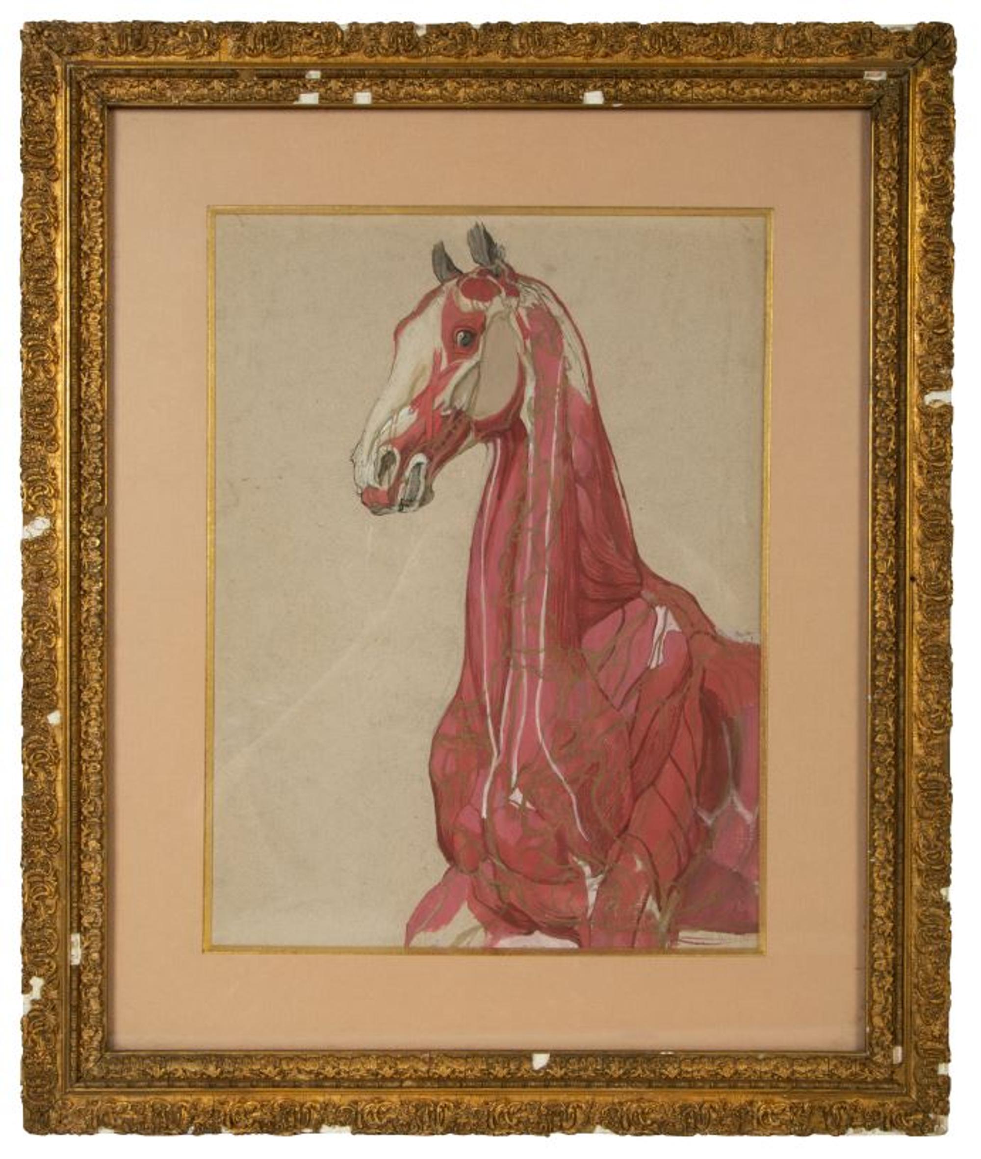 A Group of Five Pencil and Watercolor Sketches Depicting the Anatomy of Equine — 20TH CENTURY