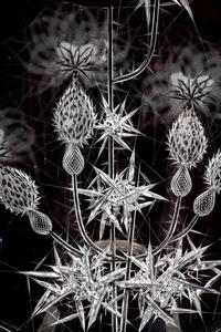 An Etched Glass Charger