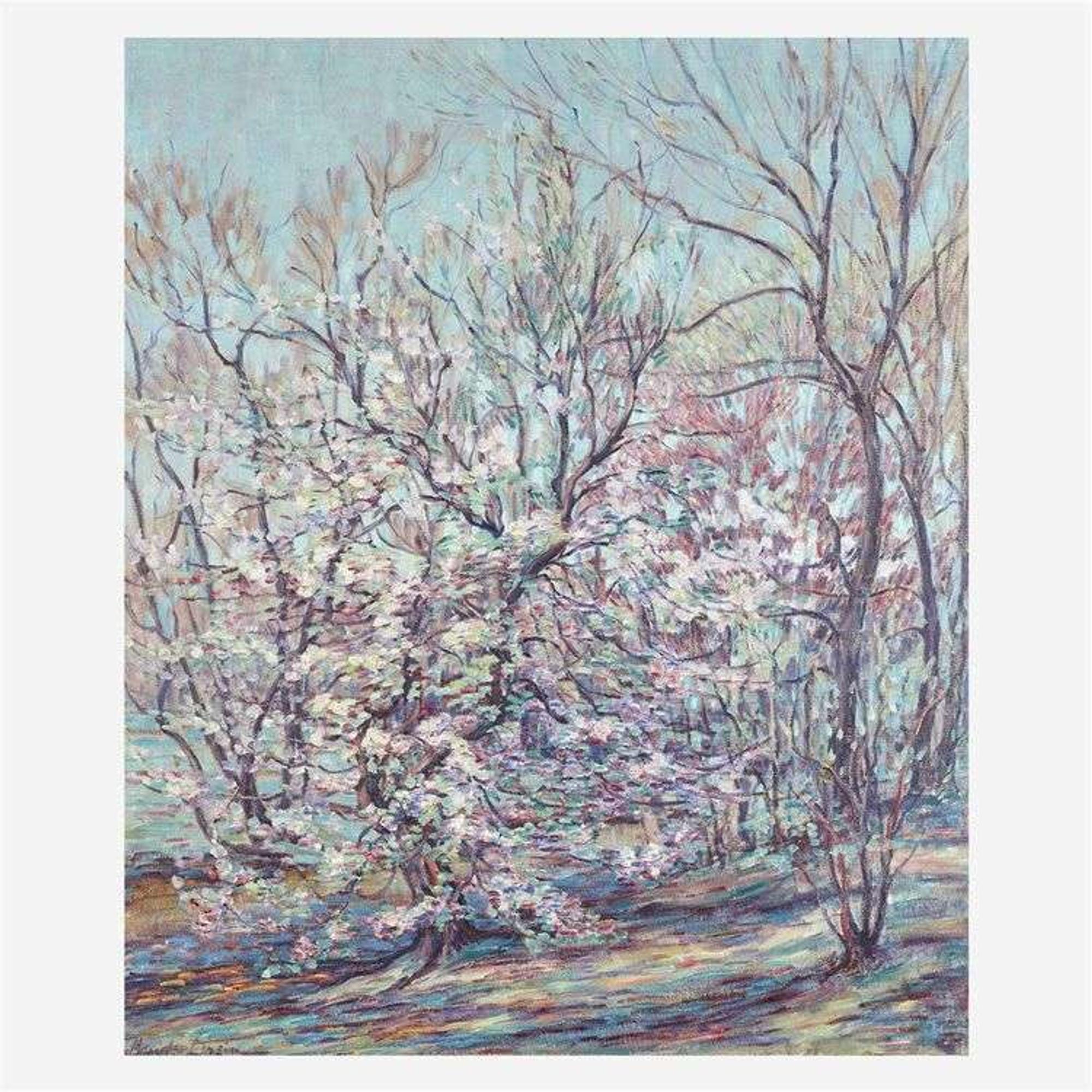 Maude Drein Bryant (American, 1880-1946) Blossoming Trees