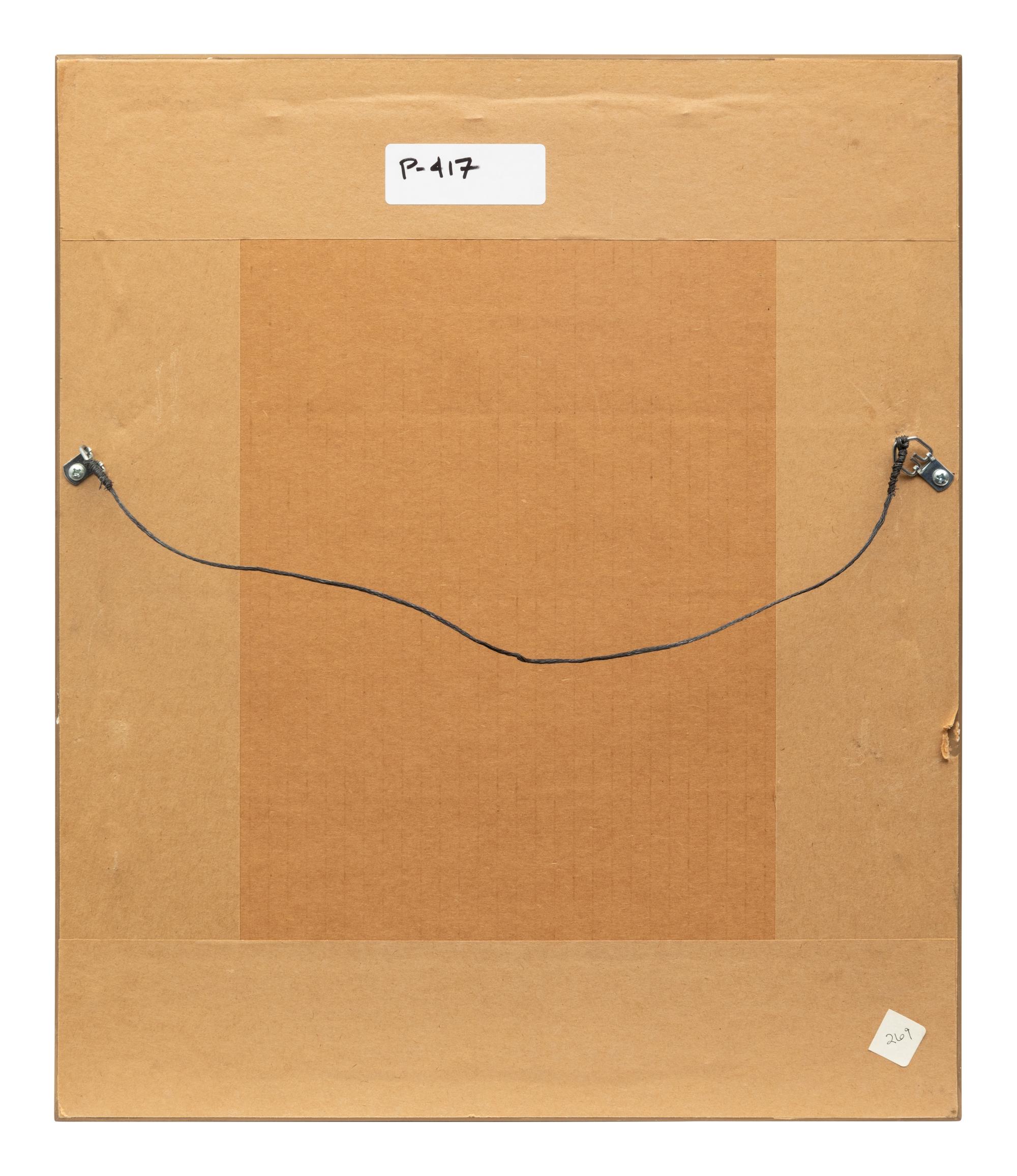 Group of Nine Works, American Bird Series, 1988