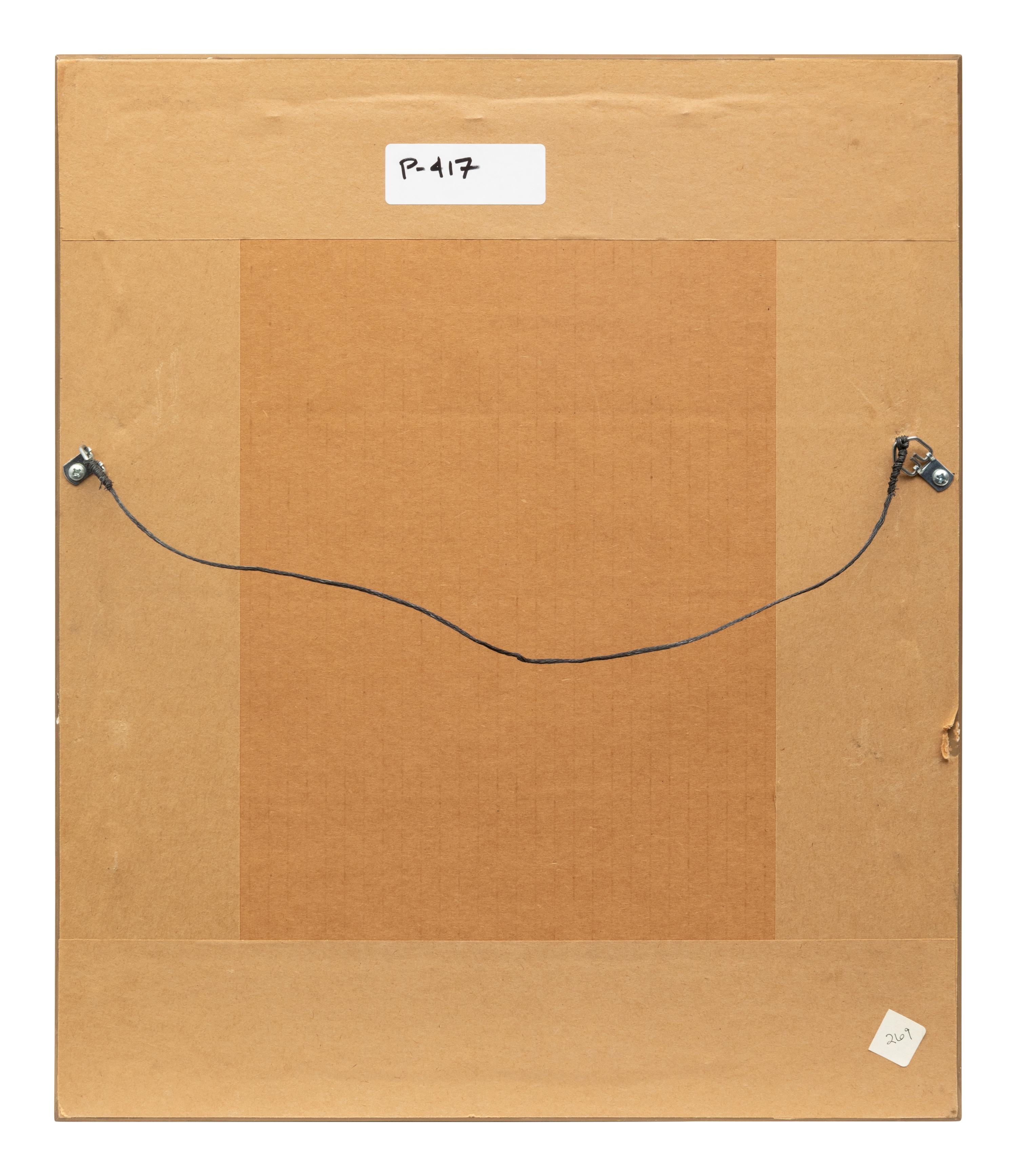 Group of Nine Works, American Bird Series, 1988