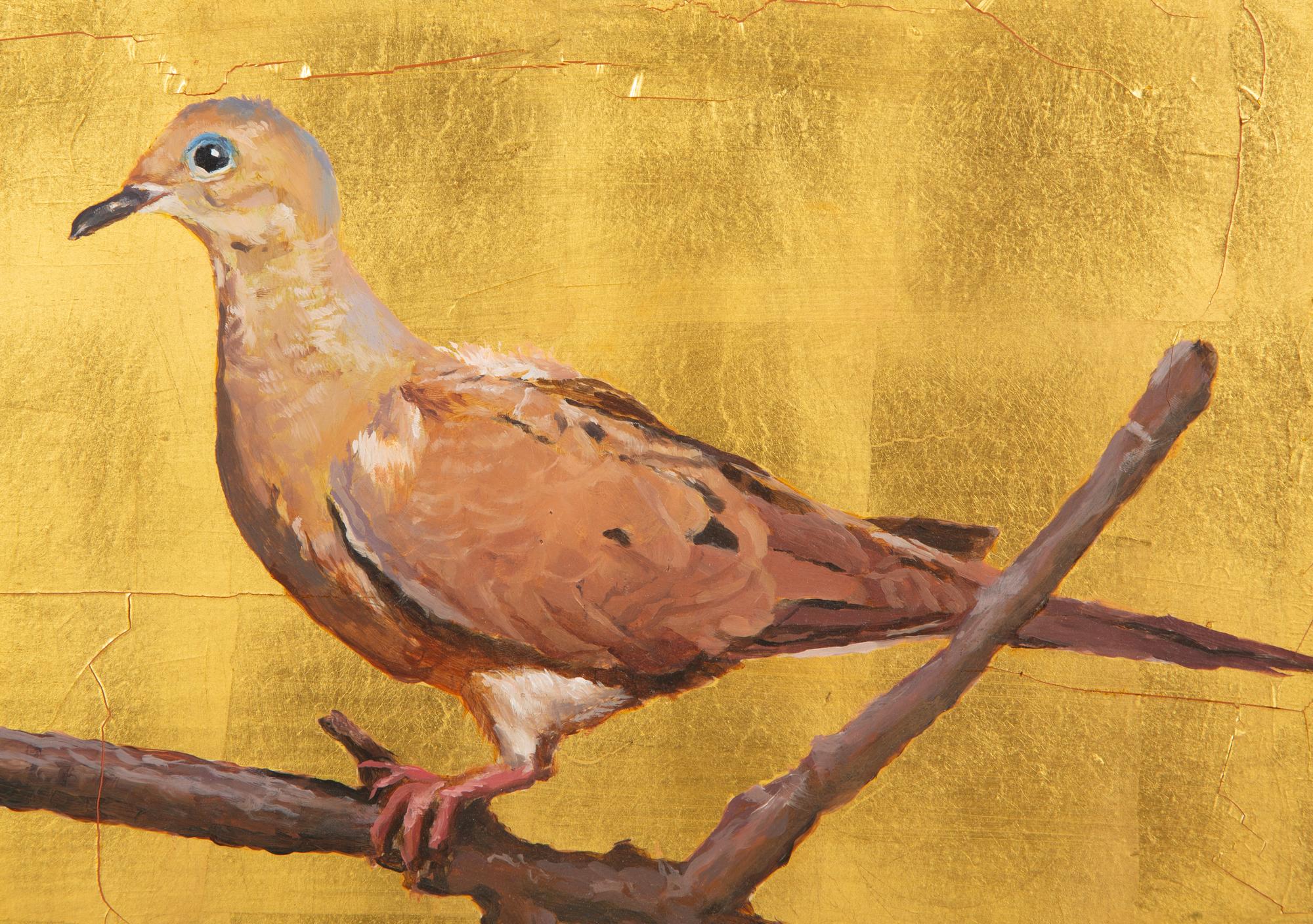 Wood Dove