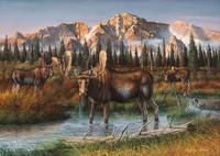 The Bull Pasture