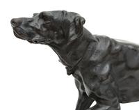 A Bronze Canine Sculpture After Jules Moigniez (French, 1835-1894)