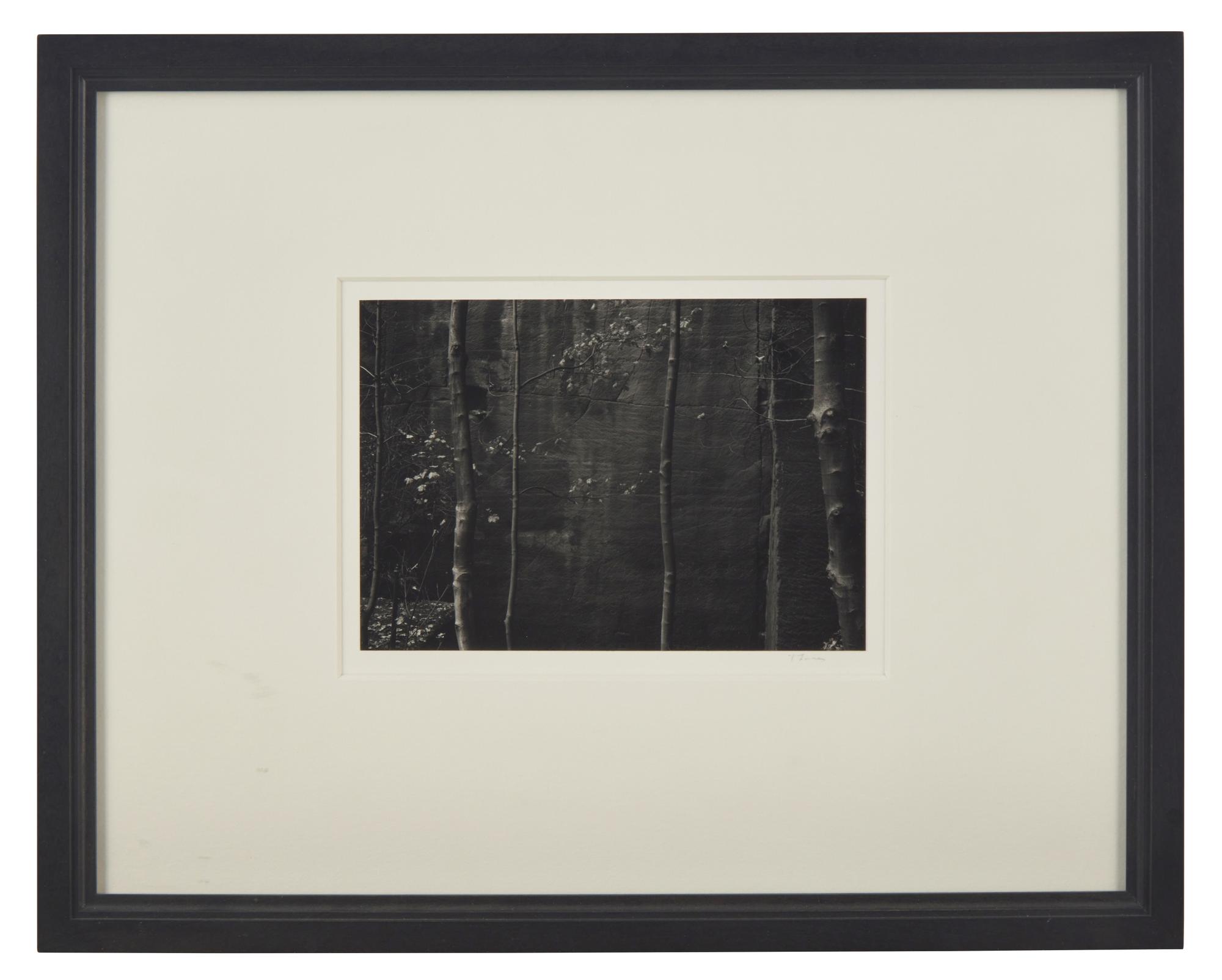 A Quality of Dancing, Millersdale, Derbyshire, England, 1983 and Ceremonial Veil, Nesscliffe, Shropshire, England, 1976 (two works)