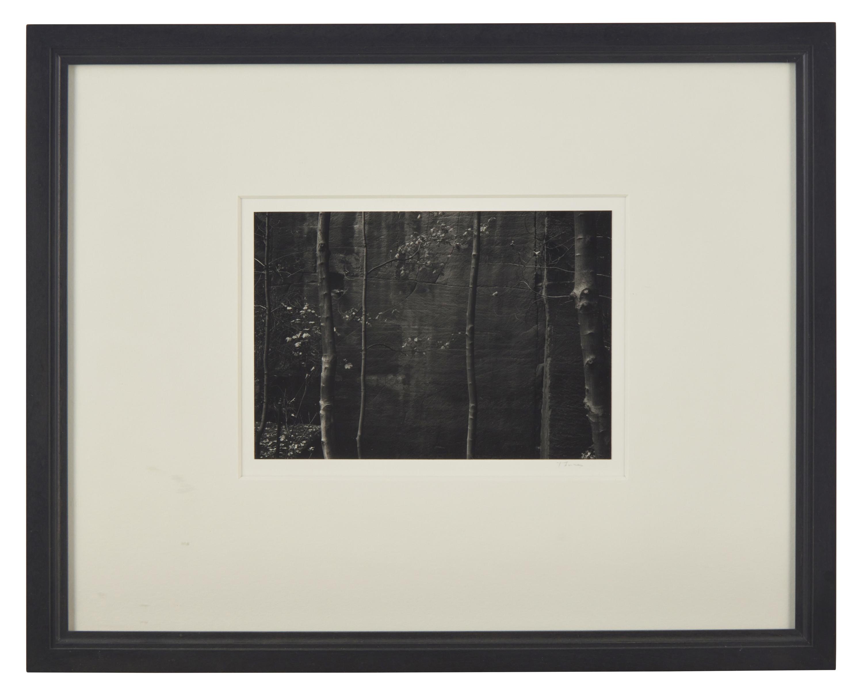 A Quality of Dancing, Millersdale, Derbyshire, England, 1983 and Ceremonial Veil, Nesscliffe, Shropshire, England, 1976 (two works)