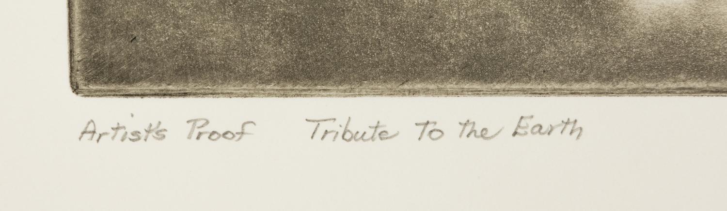 Tribute to the Earth