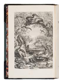 [Natural History] Wood, John George. The Illustrated Natural History
